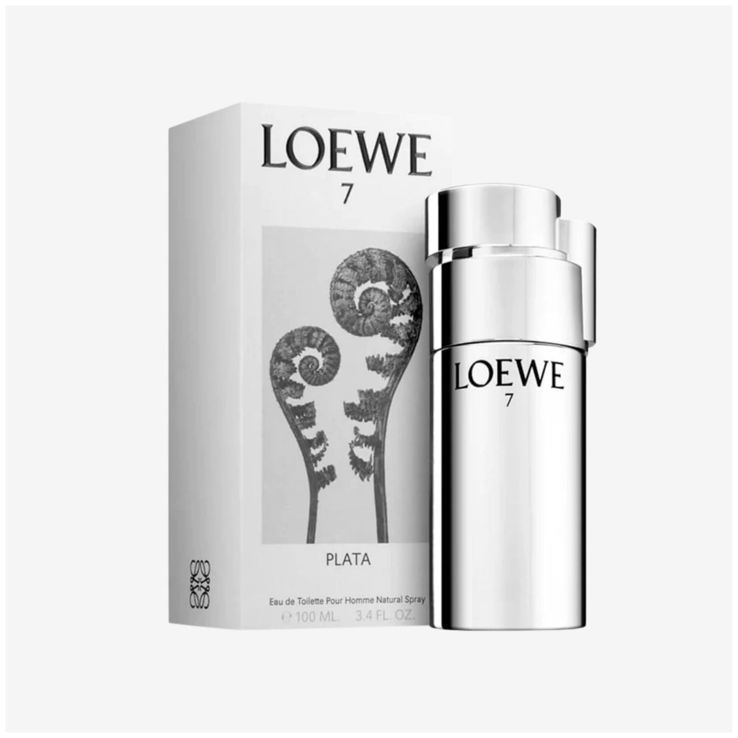 7 Loewe Plata
