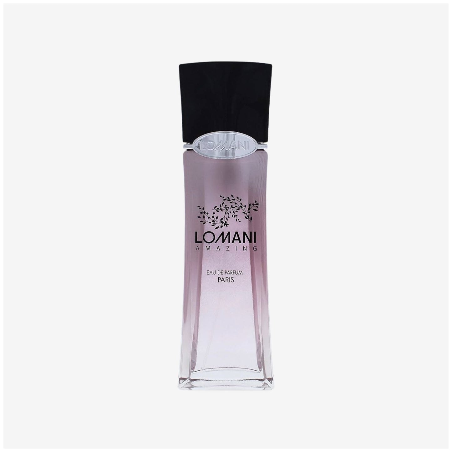 Lomani Amazing - Eau De Parfum